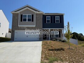 2424 Limelight Ln in Knoxville, TN - Building Photo