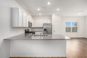 419 Alamito Ave in Kyle, TX - Building Photo - Building Photo