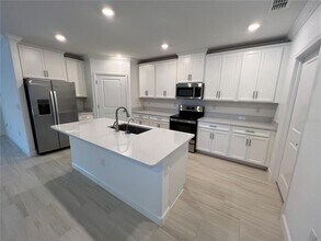 16831 Forge Surf St in Land O Lakes, FL - Building Photo - Building Photo