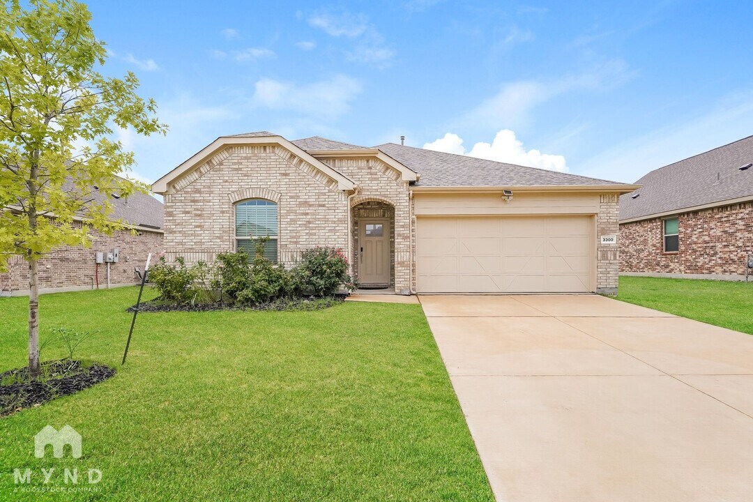 3300 Layla Creek Dr in Little Elm, TX - Building Photo