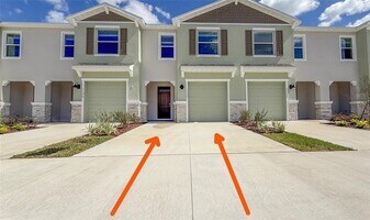 11372 Velvet Apricot Dr in Land O Lakes, FL - Building Photo