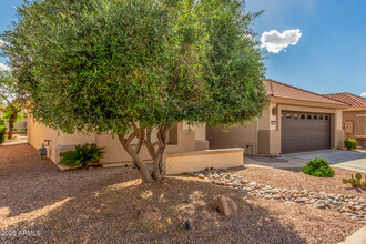15679 W Cheery Lynn Rd in Goodyear, AZ - Building Photo - Building Photo