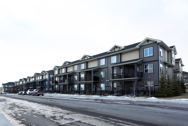 29 Evanscrest Crt NW in Calgary, AB - Building Photo - Building Photo