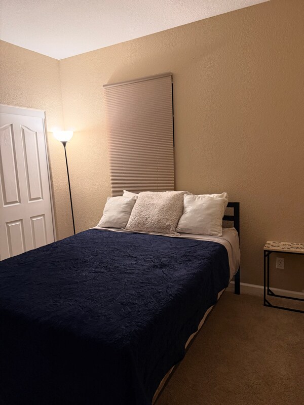 8 N Boyle Heights Ct in Mountain House, CA - Building Photo - Building Photo