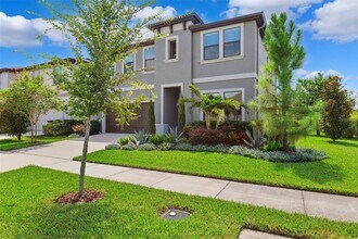 5601 Limelight Dr in Apollo Beach, FL - Building Photo - Building Photo