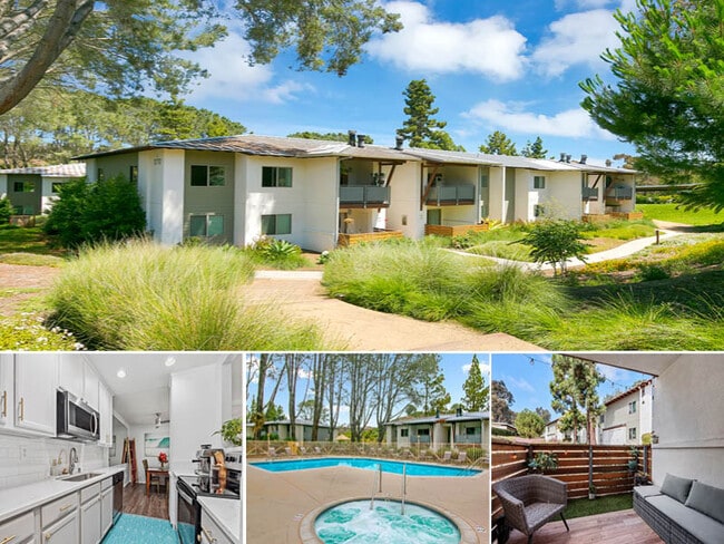 property at 1780 S El Camino Real