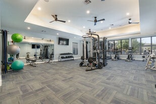 Platinum Castle Hills in Lewisville, TX - Building Photo