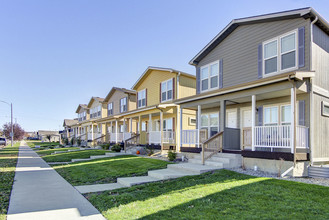 Townhomes on Bison & Cedar Ridge Twinhomes in Williston, ND - Building Photo - Building Photo