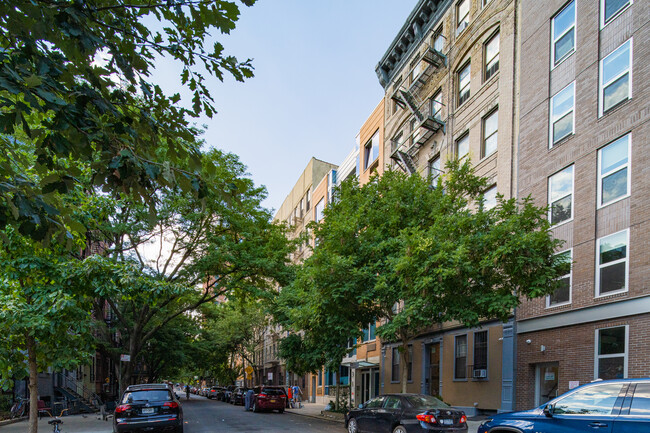 Tompkins East Condos in New York, NY - Building Photo - Building Photo