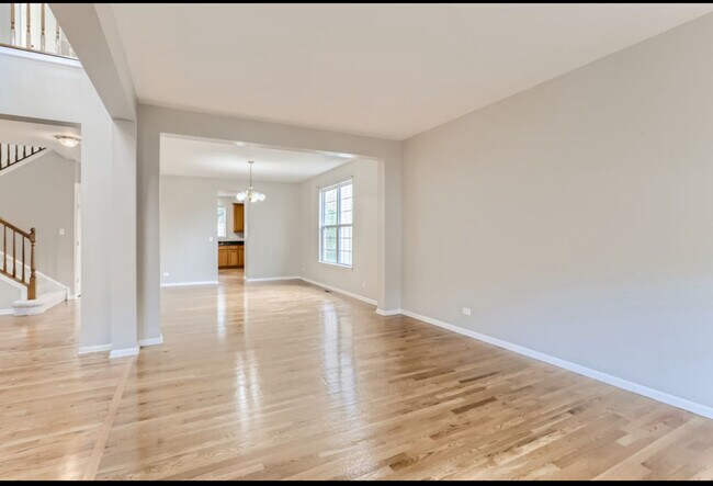 2137 W Silverleaf Ln in Addison, IL - Building Photo - Building Photo