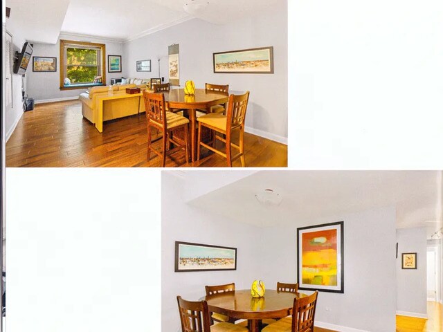 559 W Surf St, Unit 203 in Chicago, IL - Foto de edificio - Building Photo