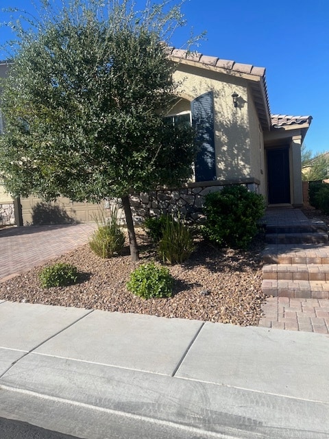 2255 Palatino St in Henderson, NV - Building Photo - Building Photo