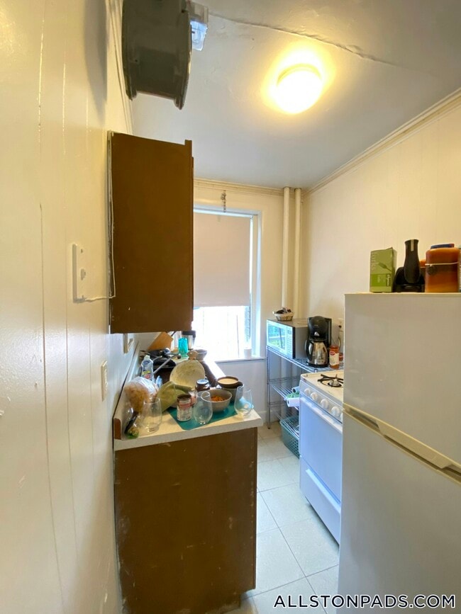 109 Brainerd Rd in Boston, MA - Building Photo - Building Photo