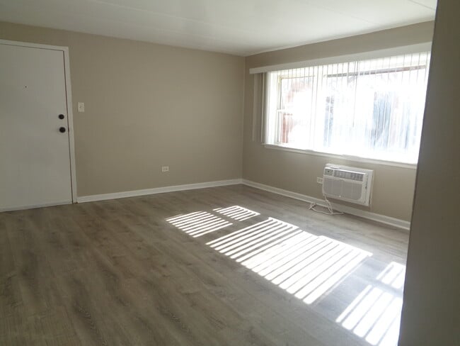 10911 S Lloyd Dr in Worth, IL - Building Photo - Building Photo
