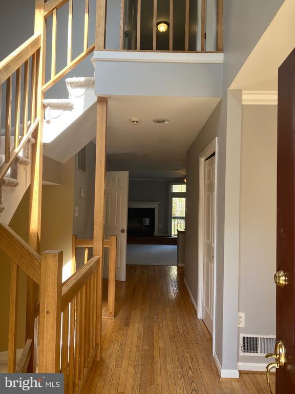 12604 Varny Pl in Fairfax, VA - Building Photo - Building Photo