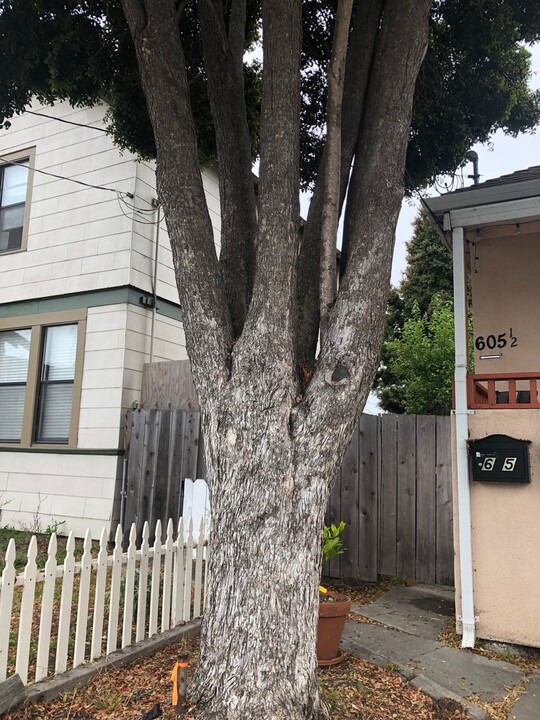 605 Seabright Ave in Santa Cruz, CA - Building Photo