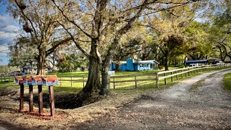 11031 Circle S Rd in Seffner, FL - Building Photo