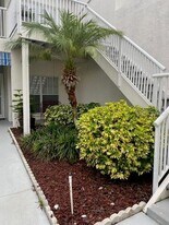 11531 Shipwatch Dr in Largo, FL - Building Photo