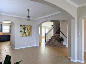 10718 Wall Fern Way in Houston, TX - Building Photo - Building Photo