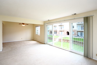 The 1001 Apartments in Omaha, NE - Foto de edificio - Interior Photo