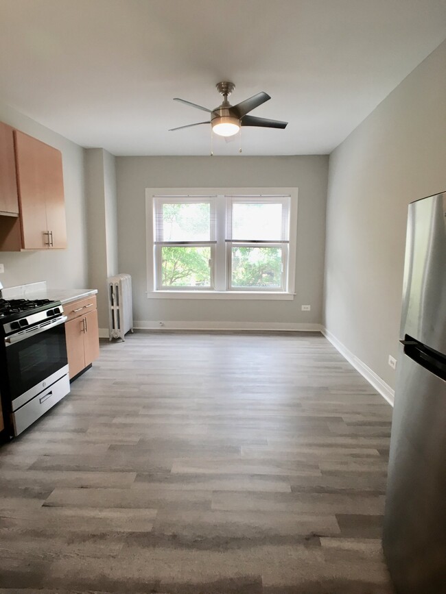 1101 W Granville Ave in Chicago, IL - Building Photo - Building Photo