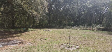 205 Harbor Dr in Palatka, FL - Building Photo - Building Photo