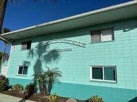 541 S Peninsula Ave in New Smyrna Beach, FL - Building Photo