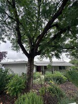 1506 Manzanita Ln in Davis, CA - Building Photo