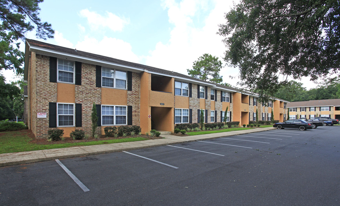 Summer Tree in Tallahassee, FL - Foto de edificio