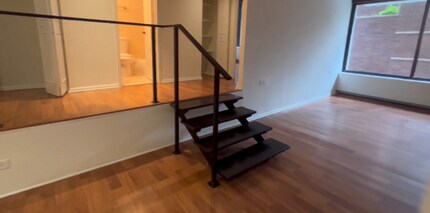 57 E Chestnut St in Chicago, IL - Building Photo - Building Photo