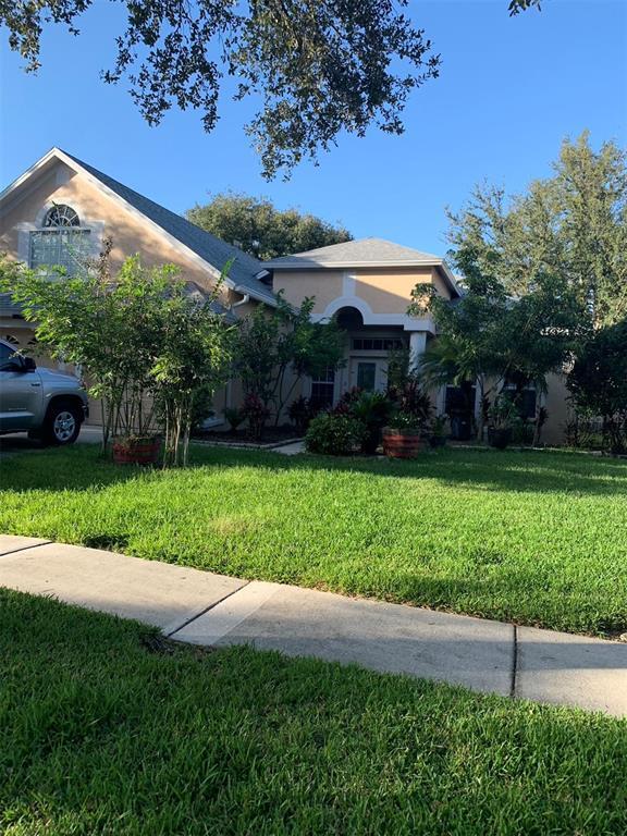 10209 Shadow Branch Dr in Tampa, FL - Building Photo - Building Photo