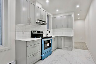 2477-2487 Rachel St E in Montréal, QC - Building Photo