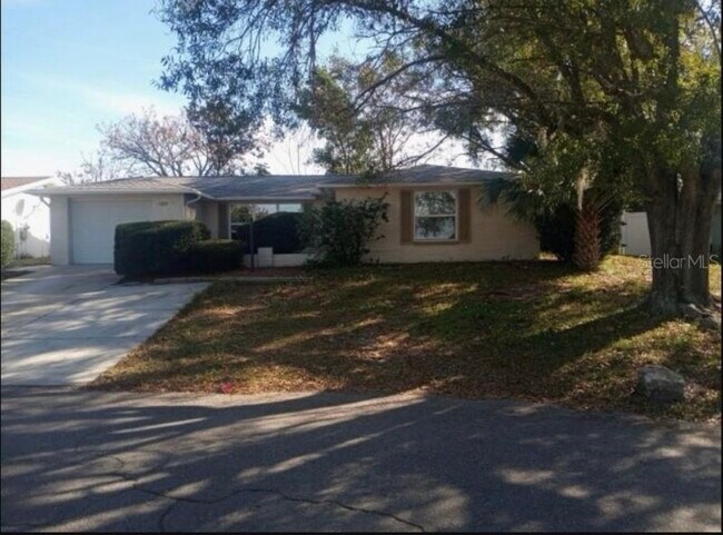 11010 Tamarix Ave in Port Richey, FL - Building Photo - Building Photo