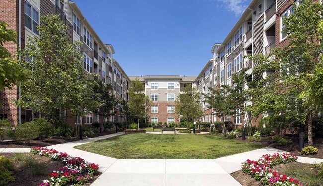 The Enclave at Potomac Club in Woodbridge, VA - Building Photo - Building Photo