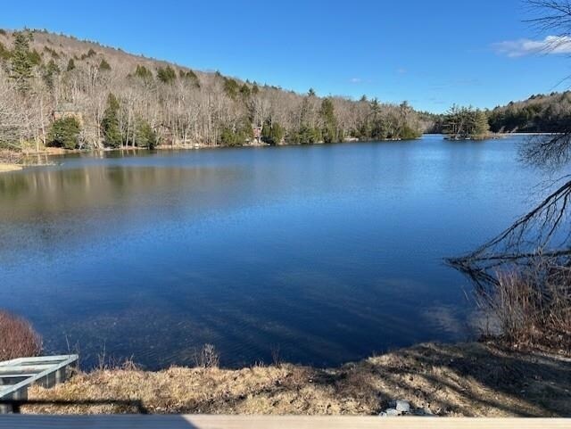 14 Gerald Dr in Newbury, NH - Building Photo