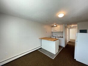 251 Pine St in Manchester, NH - Building Photo - Building Photo