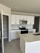 20257 Camino Torcido Lp in North Fort Myers, FL - Building Photo - Building Photo