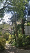 405 Piccadilly Pl in San Bruno, CA - Building Photo - Building Photo