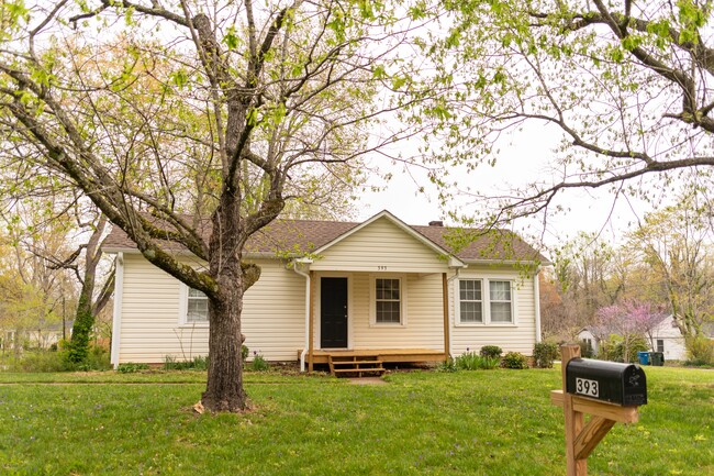393 21st Ave NE in Hickory, NC - Building Photo - Building Photo