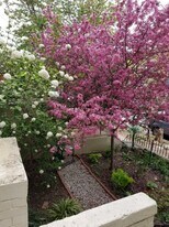 1745 Kilbourne Pl NW in Washington, DC - Building Photo