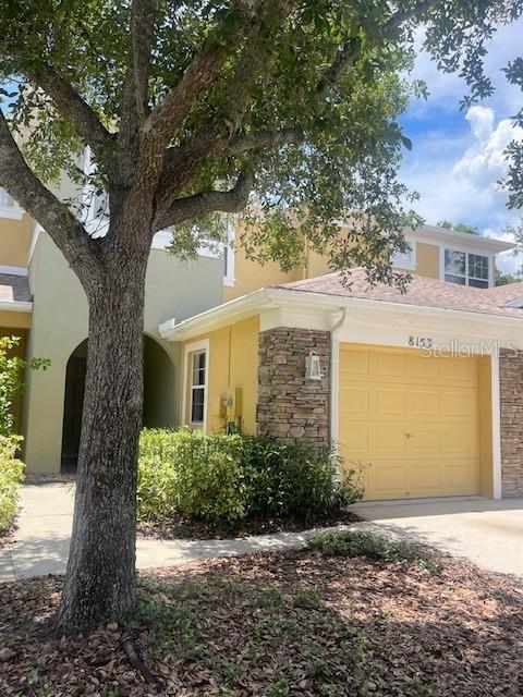8153 Stone Leaf Ln in Tampa, FL - Foto de edificio