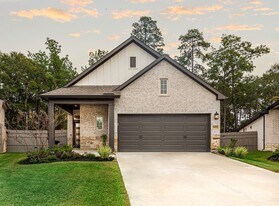 17459 Vino Vines Ln in Woodloch, TX - Building Photo