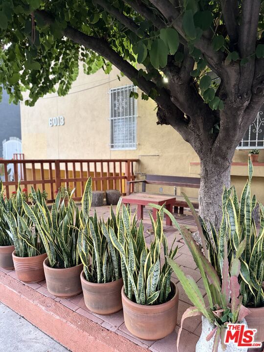 property at 6013 Carlton Way