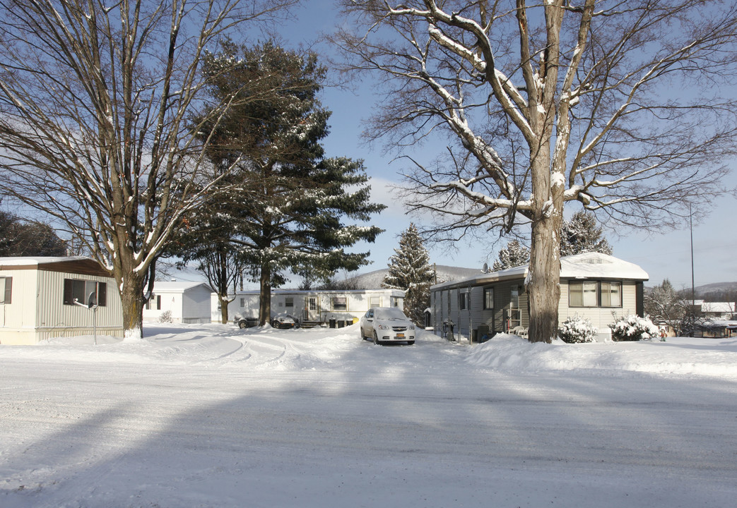 1-121 Green Acre Dr in Oneonta, NY - Foto de edificio