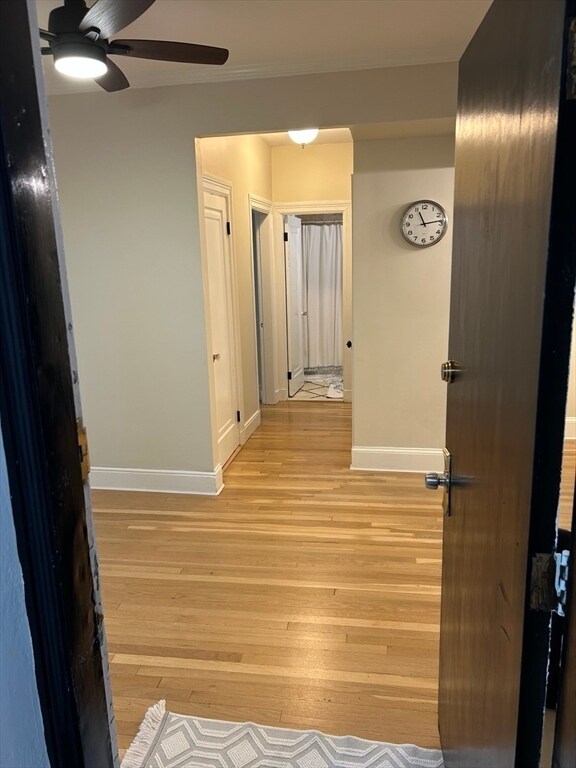 313 Tappan St in Brookline, MA - Building Photo - Building Photo