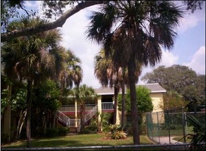 USF Gardens in Tampa, FL - Building Photo - Building Photo