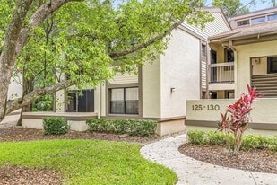 125 Woodlake Wynde in Oldsmar, FL - Building Photo