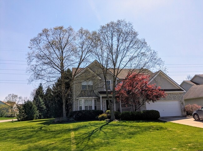 9503 Wayne Brown Dr