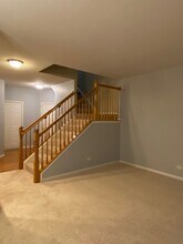 364 Grape Vine Trail in Oswego, IL - Building Photo - Building Photo