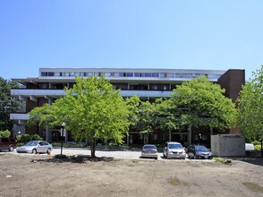 Primary Photo